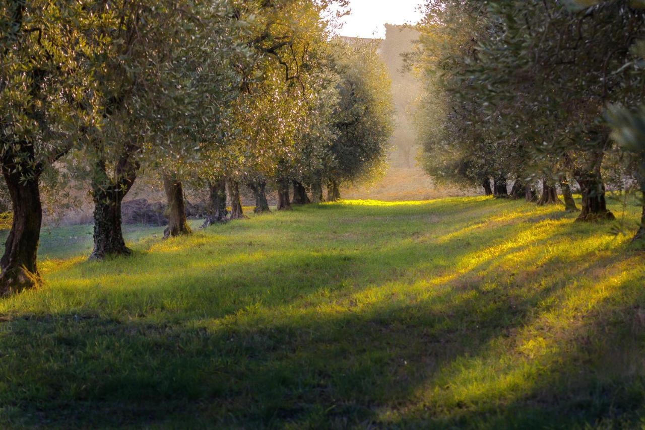 La Gemma Sul Lago Manerba del Garda Extérieur photo